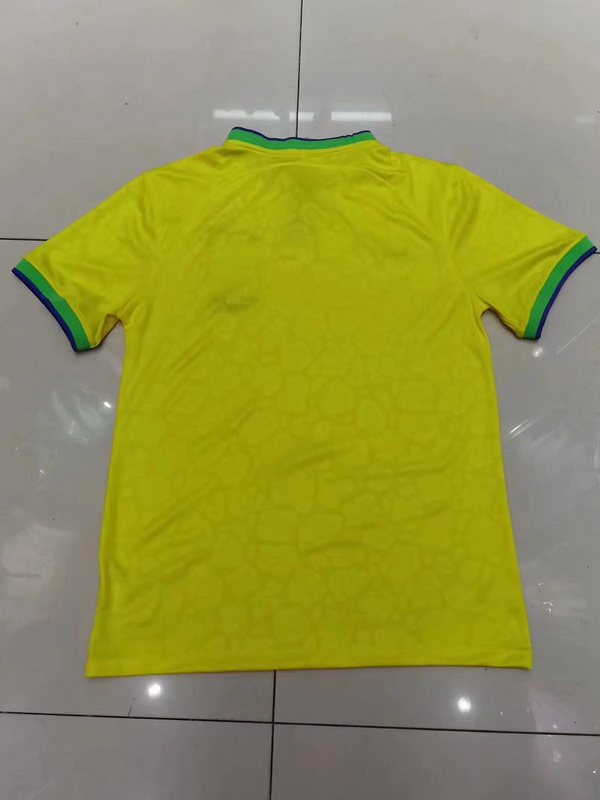 2022 Brazil home